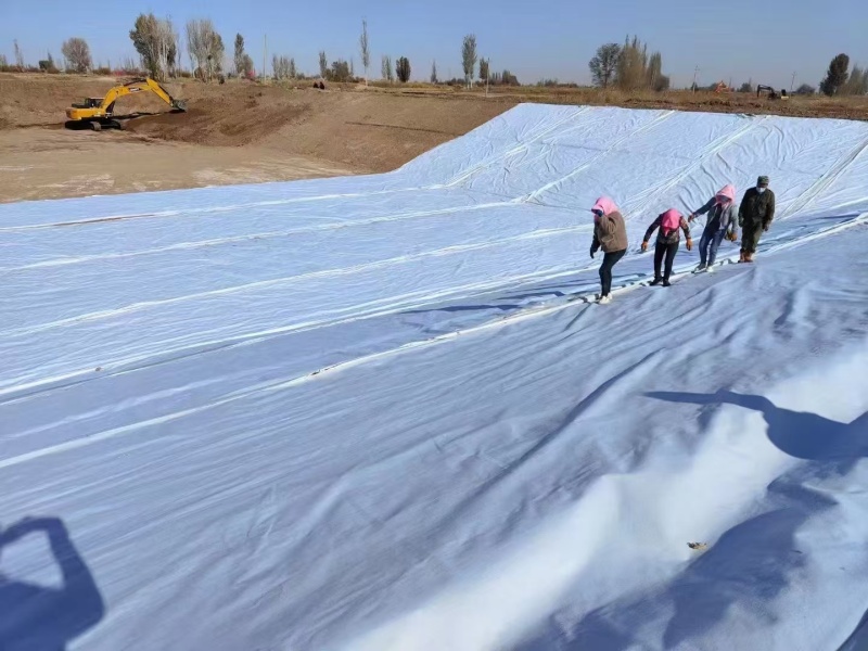 Проект хвостохранилища в Замбии
